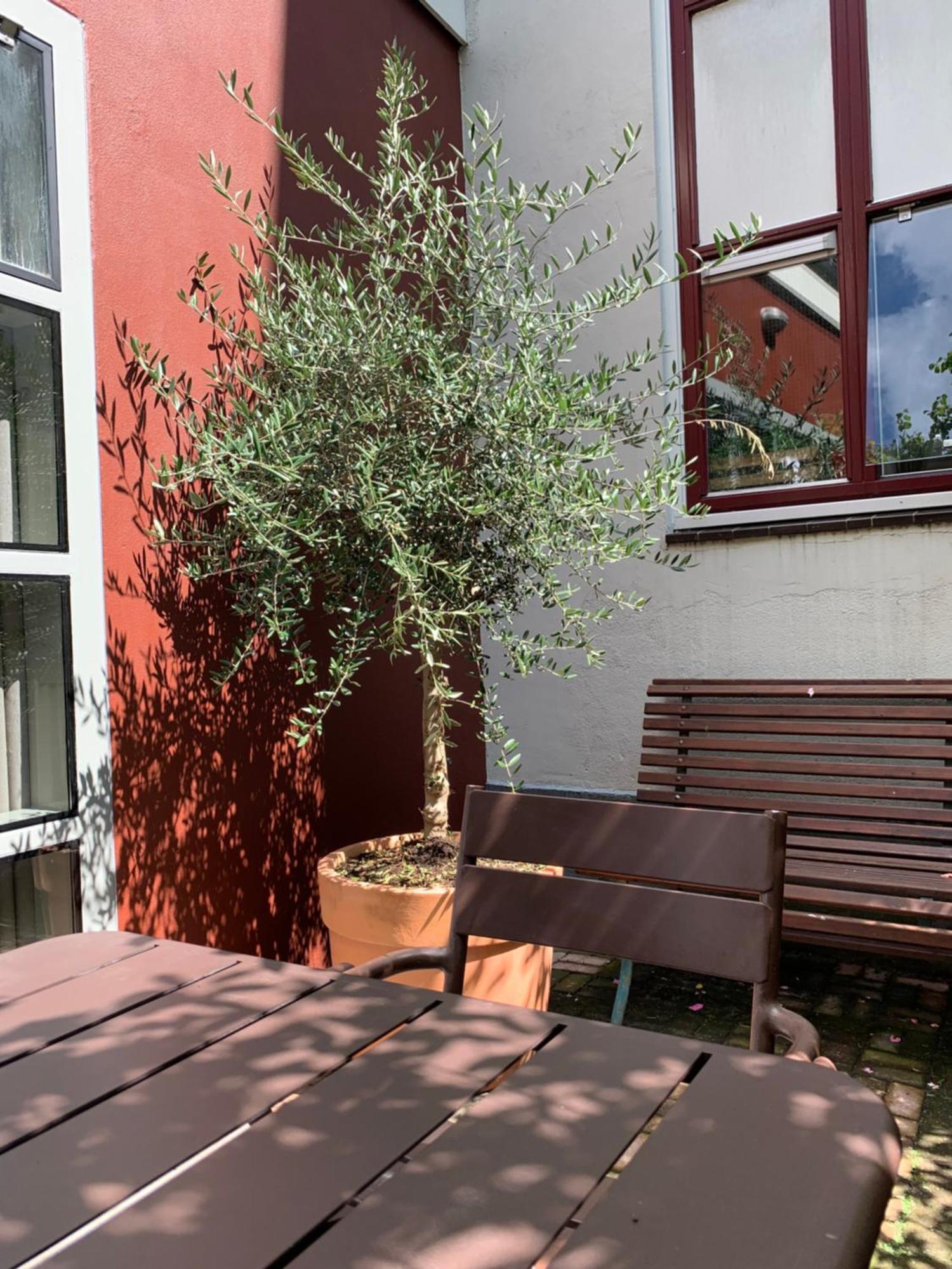 Zocher6 Bnb A Monumental Town House In The City Center Ουτρέχτη Εξωτερικό φωτογραφία